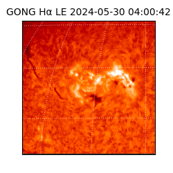 gong - 2024-05-30T04:00:42