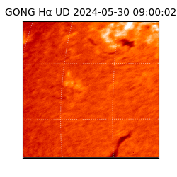 gong - 2024-05-30T09:00:02