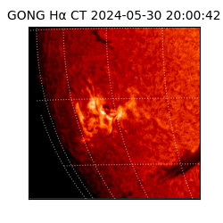 gong - 2024-05-30T20:00:42