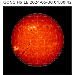 gong - 2024-05-30T04:00:42