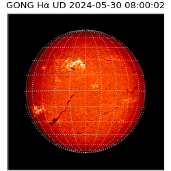 gong - 2024-05-30T08:00:02