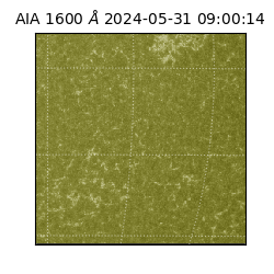 saia - 2024-05-31T09:00:14.126000