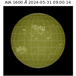 saia - 2024-05-31T09:00:14.126000