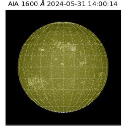 saia - 2024-05-31T14:00:14.126000
