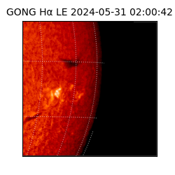 gong - 2024-05-31T02:00:42