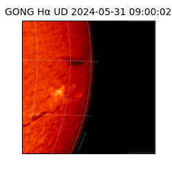 gong - 2024-05-31T09:00:02