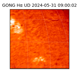 gong - 2024-05-31T09:00:02