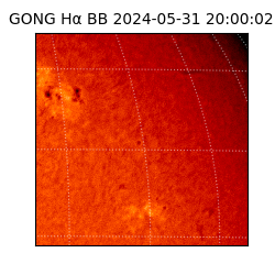 gong - 2024-05-31T20:00:02