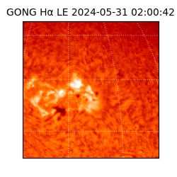 gong - 2024-05-31T02:00:42