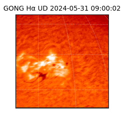 gong - 2024-05-31T09:00:02