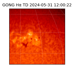 gong - 2024-05-31T12:00:22