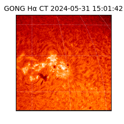 gong - 2024-05-31T15:01:42