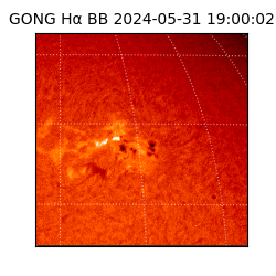 gong - 2024-05-31T19:00:02