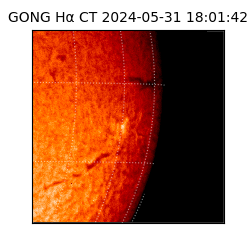 gong - 2024-05-31T18:01:42