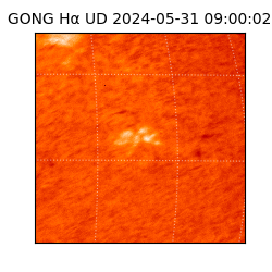gong - 2024-05-31T09:00:02