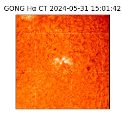 gong - 2024-05-31T15:01:42