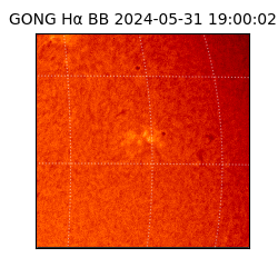 gong - 2024-05-31T19:00:02