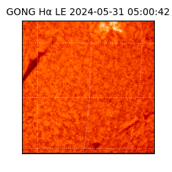 gong - 2024-05-31T05:00:42