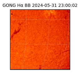 gong - 2024-05-31T23:00:02