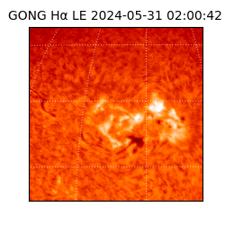 gong - 2024-05-31T02:00:42