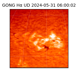 gong - 2024-05-31T06:00:02