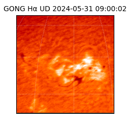 gong - 2024-05-31T09:00:02