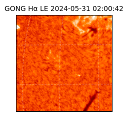 gong - 2024-05-31T02:00:42