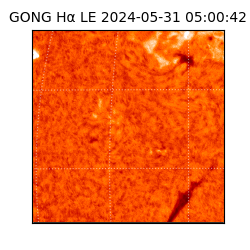 gong - 2024-05-31T05:00:42
