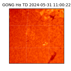 gong - 2024-05-31T11:00:22