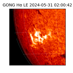 gong - 2024-05-31T02:00:42