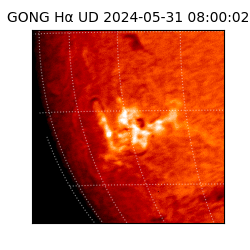 gong - 2024-05-31T08:00:02