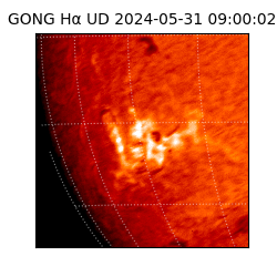 gong - 2024-05-31T09:00:02