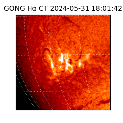 gong - 2024-05-31T18:01:42