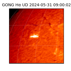gong - 2024-05-31T09:00:02