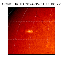 gong - 2024-05-31T11:00:22