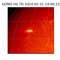 gong - 2024-05-31T14:00:22