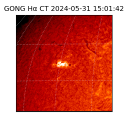 gong - 2024-05-31T15:01:42