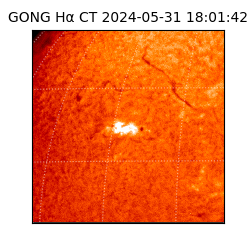 gong - 2024-05-31T18:01:42