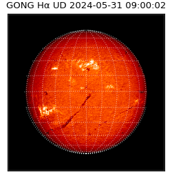 gong - 2024-05-31T09:00:02