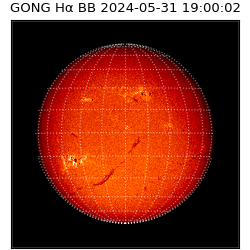 gong - 2024-05-31T19:00:02