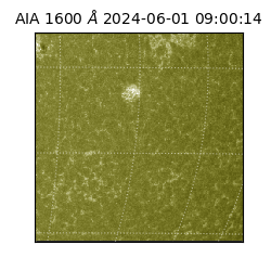 saia - 2024-06-01T09:00:14.130000