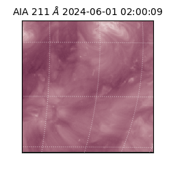 saia - 2024-06-01T02:00:09.626000