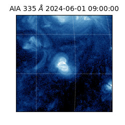 saia - 2024-06-01T09:00:00.625000