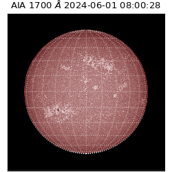 saia - 2024-06-01T08:00:28.737000