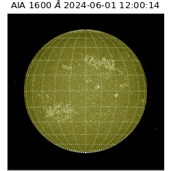 saia - 2024-06-01T12:00:14.126000