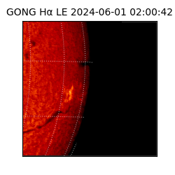 gong - 2024-06-01T02:00:42