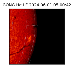 gong - 2024-06-01T05:00:42