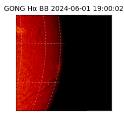 gong - 2024-06-01T19:00:02