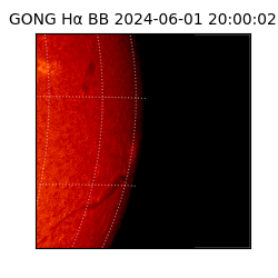 gong - 2024-06-01T20:00:02