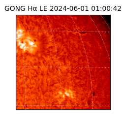 gong - 2024-06-01T01:00:42